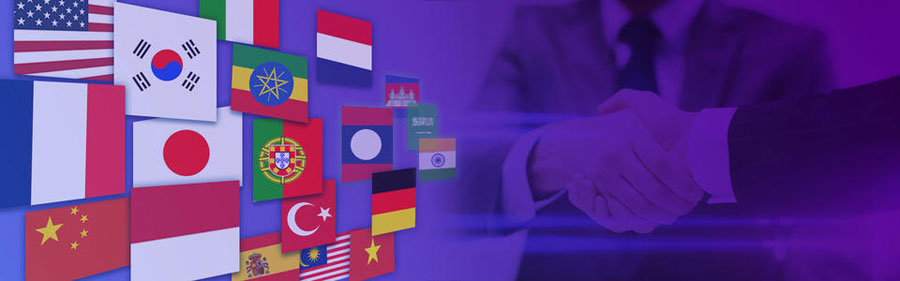 哈尔滨小语种网站建设  第2张